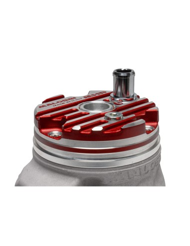 Gruppo termico Ø 52 Malossi MHR 100cc FLANGED MOUNT Piaggio 3118679
