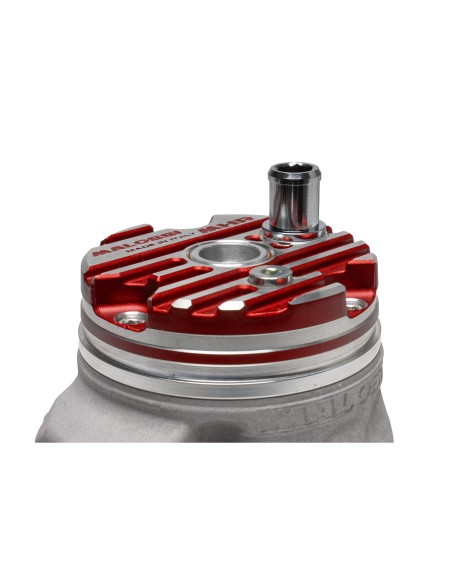 Gruppo termico Ø 52 Malossi MHR 100cc FLANGED MOUNT Piaggio 3118679