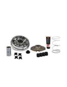 Variatore Malossi Multivar 2000 per Honda Forza 350 Ie ABS dal 2021 al 2025 5118980