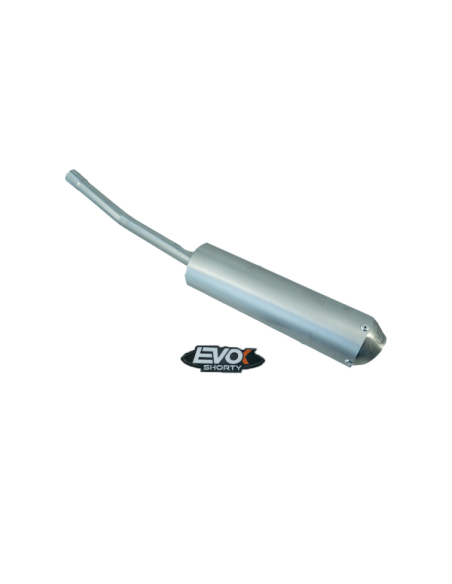 Marmitta Evok Iron Pipe con silenziatore Shorty in Alluminio e Inox per Beta ENDURO RED RR 50 2T 2020-2021