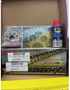 Kit Trasmissione DID 101577 per Ducati Panigale V4 Speciale  dal 2018 al 2019 2