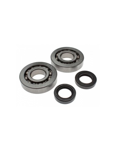 Kit Revisione Albero Motore RMS per Piaggio 50 2T Free Zip ET2 Liberty 100200312