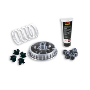 Variatore Malossi Multivar 2000 per Beverly 400 500 Nexus 500 5114260