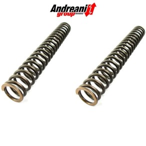 Molle Cartuccia Andreani Misano Evo per Ohvale GP-0 K70