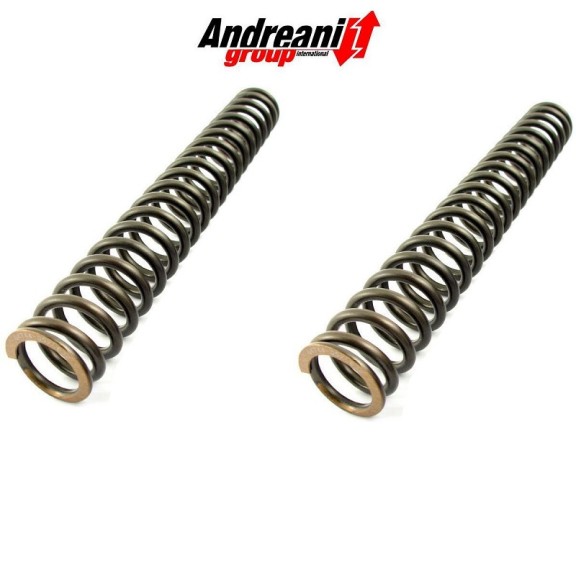 Molle Cartuccia Andreani Misano Evo per Ohvale GP-0 K70