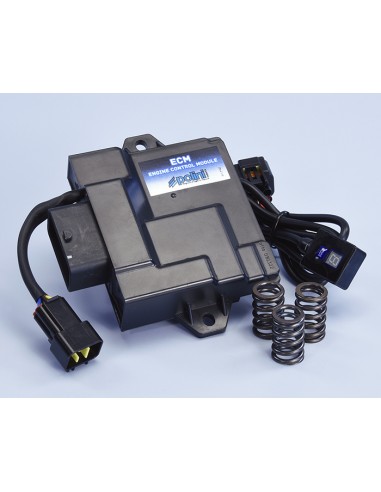 Centralina Polini ECM per Piaggio Vespa 50 3V I-GET Euro5 171.0012