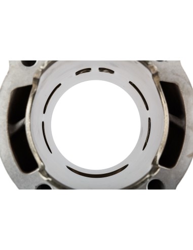 Cilindro Gruppo termico Originale Gilera Runner 180 2T Dragster 180 Piaggio Hexagon 180 LXT 487638
