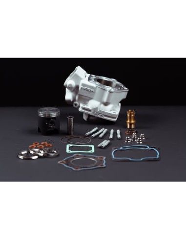 Gruppo Termico Athena Standard Ø 56 mm 250 cc con Guarnizioni per Aprilia RS 250 dal 1995 al 2003