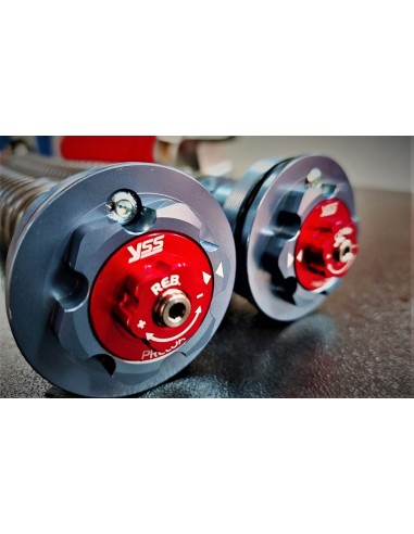 Kit Cartuccia e Mono Ammortizzatore Yss per Honda CRF 300 L & Rally