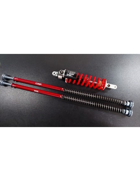 Kit Cartuccia e Mono Ammortizzatore Yss per Honda CRF 300 L & Rally