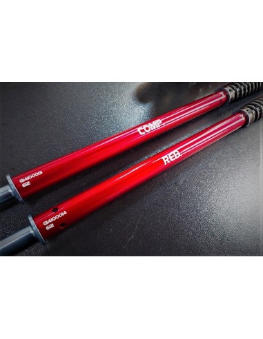 Kit Cartuccia e Mono Ammortizzatore Yss per Honda CRF 300 L & Rally