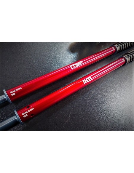 Kit Cartuccia e Mono Ammortizzatore Yss per Honda CRF 300 L & Rally