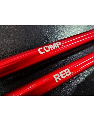 Kit Cartuccia e Mono Ammortizzatore Yss per Honda CRF 300 L & Rally