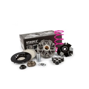 Variatore Stage6 R/T Oversize Motori Minarelli Asse 13mm...
