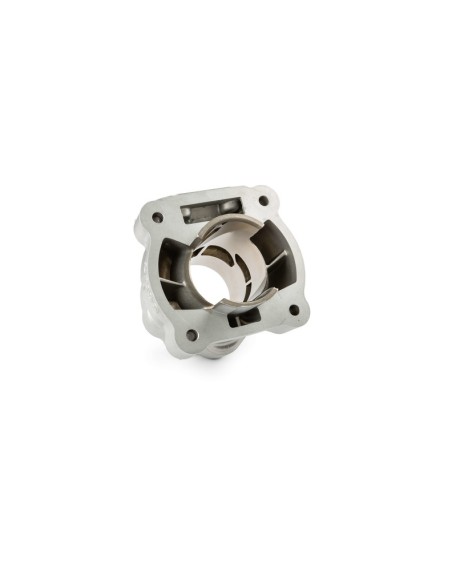 Gruppo Termico Stage6 R/T 100cc FLR per carter Malossi C-One RC-One S6-7516620