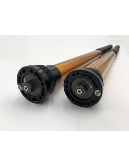 Kit Cartuccia Andreani RALLY RACE con olio Ohlins per BMW F 800 GS dal 2013 Forcella WP 43mm