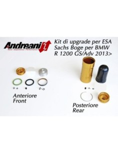 Kit Upgrade Andreani per mono originale Sachs EC BMW R...