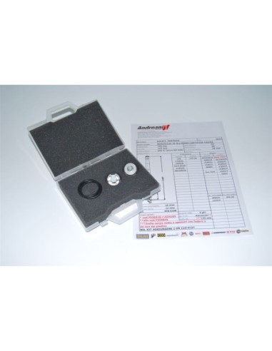 kit pistoni pompanti Andreani estensione per Ducati Panigale 1199 2012-2013