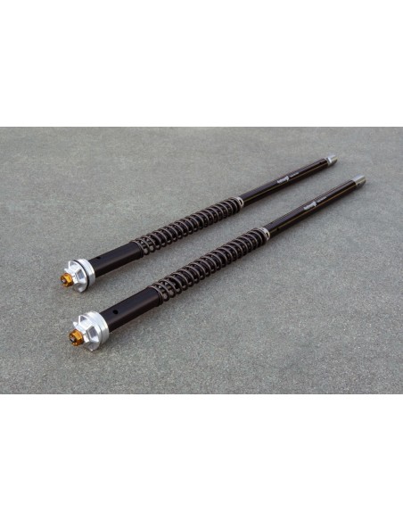 Kit Cartuccia Andreani MISANO EVO con olio Ohlins + steli 100-0050833 Per Ducati Hypermotard 796 Marzocchi 43mm