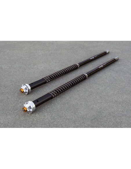 Kit Cartuccia Andreani MISANO EVO con olio Ohlins Per Ducati Monster S4R 2003-2005 Showa 43mm