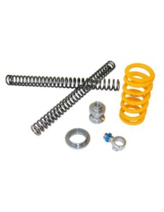 Kit modifica mono e molle forcella Andreani con olio...