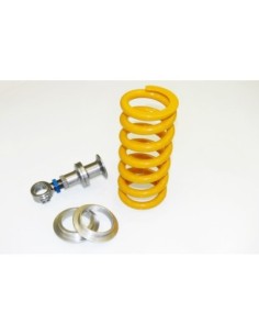 Kit modifica mono Andreani per Multistrada Pikes Peak dal...