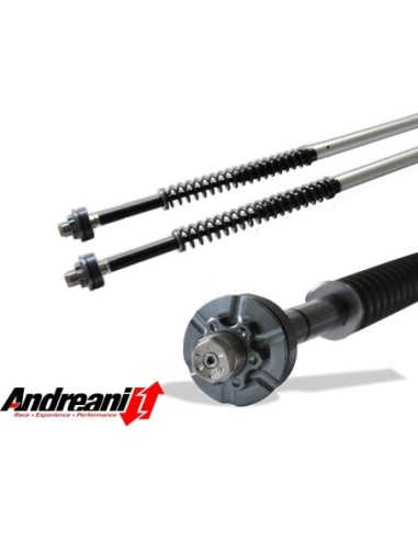 Kit Cartuccia Andreani MISANO con olio Ohlins...