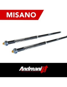 Kit Cartuccia Andreani MISANO con olio Ohlins Per Harley...