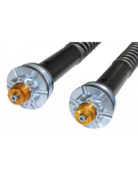 Kit Cartuccia Andreani MISANO con olio Ohlins Per Harley Davidson Dyna Low Rider S