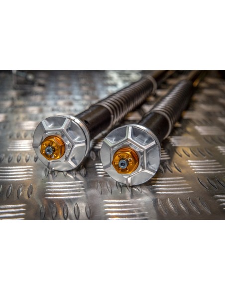 Kit Cartuccia Andreani MISANO EVO con olio Ohlins Per Harley Davidson Roadster XL 1200 CX dal 2016 Showa 43mm