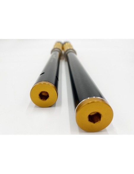 Kit Cartuccia Andreani MISANO EVO con olio Ohlins Per Honda CB 1000R dal 2018 Showa 43mm BPF