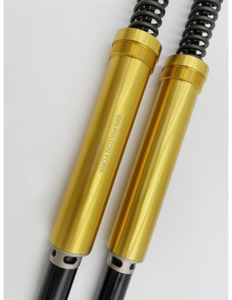 Kit Cartuccia Andreani MISANO EVO con olio Ohlins Per Honda CB 1000R dal 2018 Showa 43mm BPF