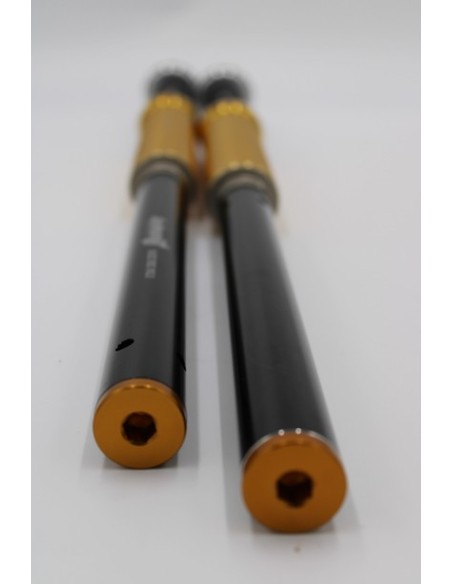 Kit Cartuccia Andreani MISANO EVO con olio Ohlins Per Honda CB 1000R dal 2018 Showa 43mm BPF