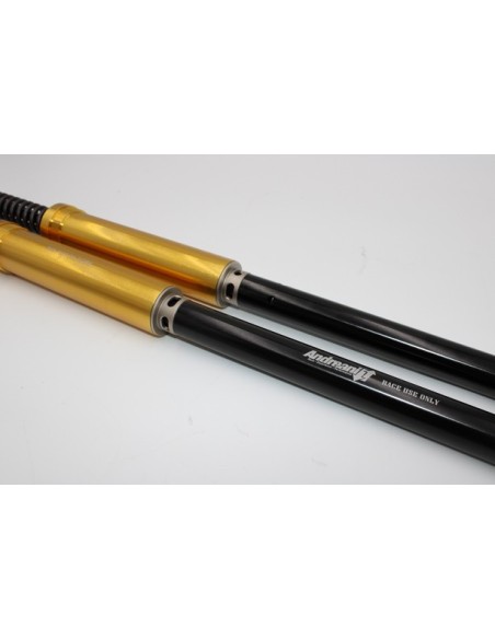 Kit Cartuccia Andreani MISANO EVO con olio Ohlins Per Honda CB 1000R dal 2018 Showa 43mm BPF