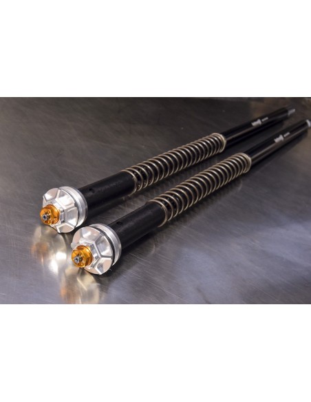 Kit Cartuccia Andreani MISANO EVO con olio Ohlins Per Kawasaki Versys 1000 dal 2019 Kayaba 43mm