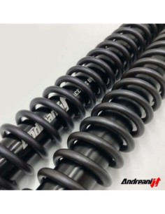 Kit Cartuccia Andreani RALLY RACE con olio Ohlins Per KTM... 2