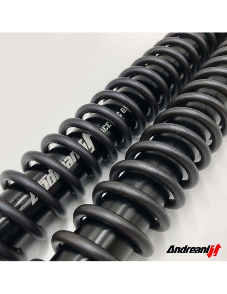 Kit Cartuccia Andreani RALLY RACE con olio Ohlins Per KTM 890 Adventure R dal 2020 WP 48mm