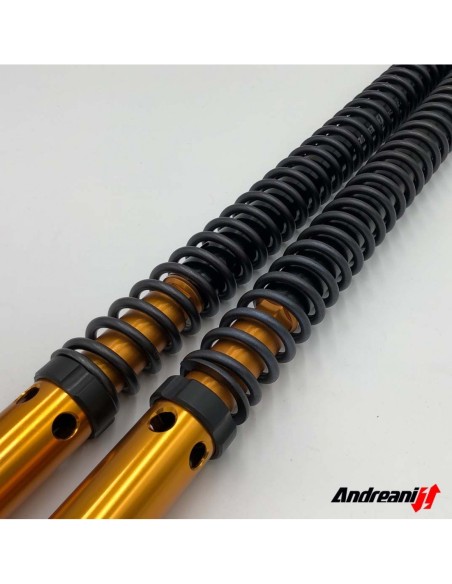 Kit Cartuccia Andreani RALLY RACE corsa 265mm con olio Ohlins Per KTM 990 Adventure R WP 48mm