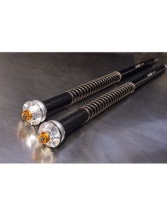 Kit Cartuccia Andreani MISANO EVO con olio Ohlins Per MV...