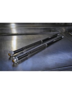 Kit Cartuccia Andreani MISANO EVO con olio Ohlins Per MV... 2