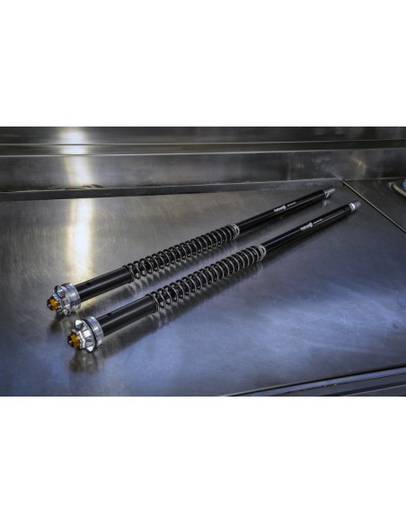 Kit Cartuccia Andreani MISANO EVO con olio Ohlins Per MV Agusta Rivale 800 Stradale 2014 Marzocchi 43mm