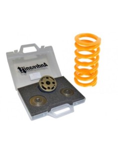 Kit Upgrade pistone molla e lamelle Andreani per Moto...