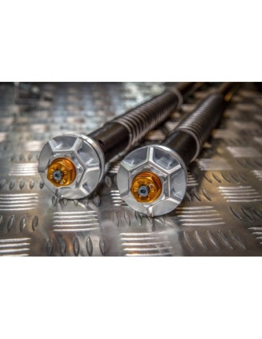 Kit Cartuccia Andreani MISANO con olio Ohlins +...