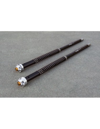 Kit Cartuccia Andreani MISANO con olio Ohlins +...