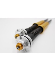 Kit Cartuccia Andreani MISANO EVO con olio Ohlins per...