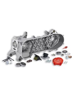 Carter Motore Completo Malossi Mhr C-One Per Motore Piaggio LC 5715844