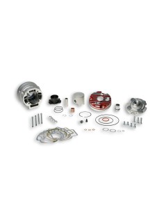 Gruppo Termico Ø 47,6 In Alluminio H2o Malossi Mhr Team Testa Rossa per Piaggio LC