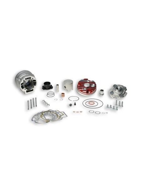 Gruppo Termico Ø 47,6 In Alluminio H2o Malossi Mhr Team Testa Rossa per Piaggio LC