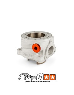 Gruppo termico Stage6 R/T 95cc per Minarelli Orizzontale Aerox Jog S6-7516611 2