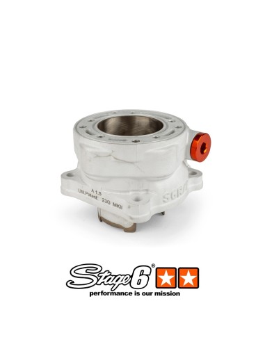 Gruppo termico Stage6 R/T 95cc per Minarelli Orizzontale Aerox Jog S6-7516611